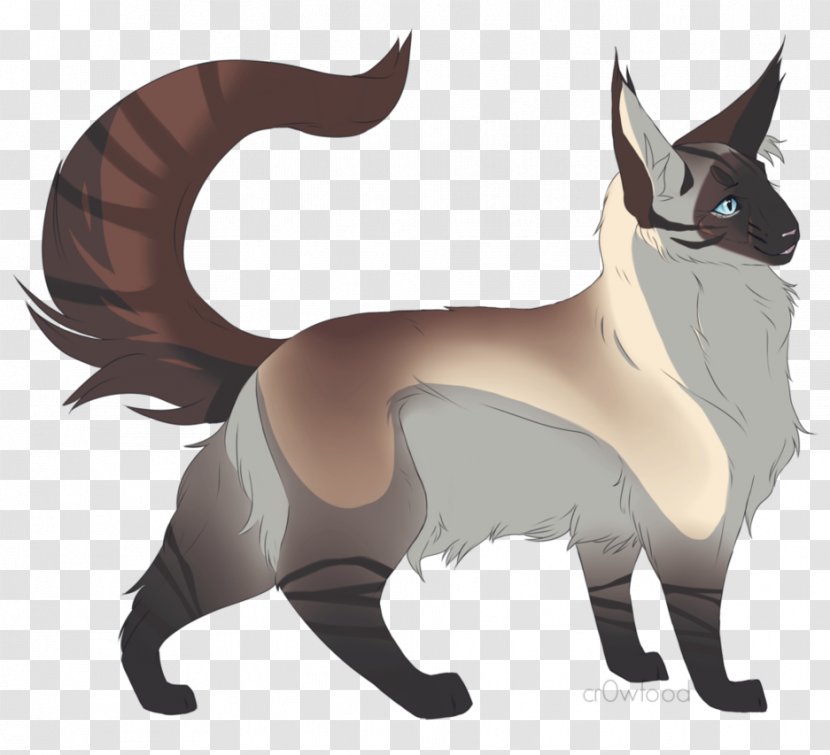 Whiskers Cat Dog Canidae Transparent PNG