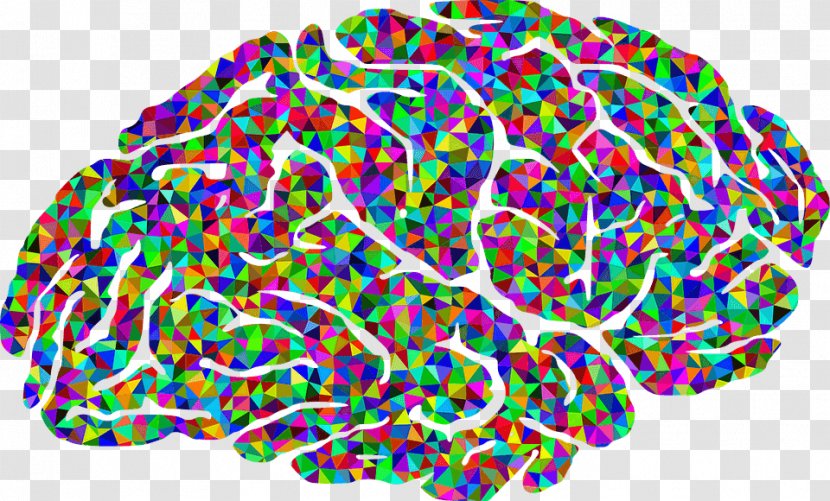 Human Brain Neuroscience Color Clip Art - Heart - Brains Transparent PNG