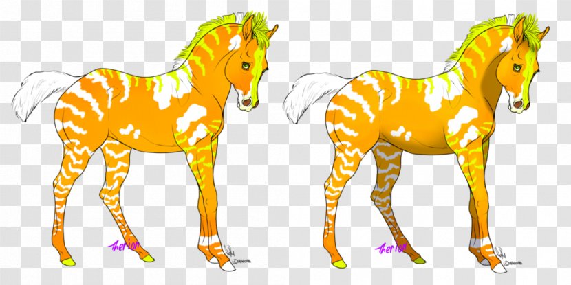 Foal Mane Stallion Mustang Colt - Horse Transparent PNG