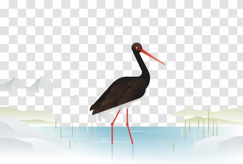 Crane Heron Bird Stork - Beak - Beautifully Hand-painted Crane. Transparent PNG