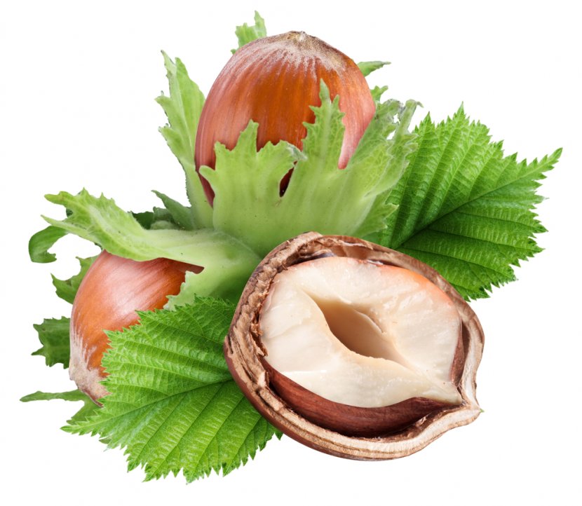 Hazelnut Nuts Nucule Pistachio - Common Hazel - Walnut Transparent PNG