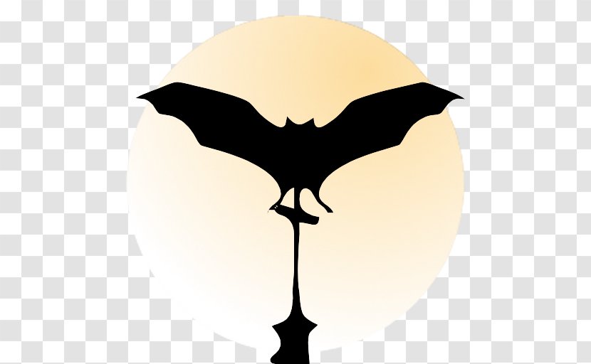 Bat Cat Desktop Wallpaper Image Photograph - Silhouette Transparent PNG