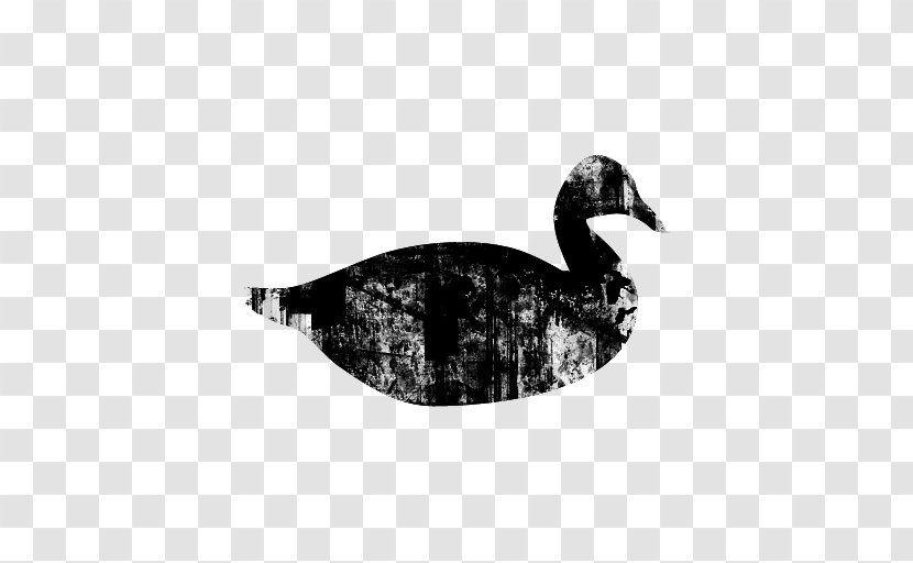 Black Duck Garden Goose IforInterview - Waterfowl - Culture/Society Website FowlDuck Transparent PNG
