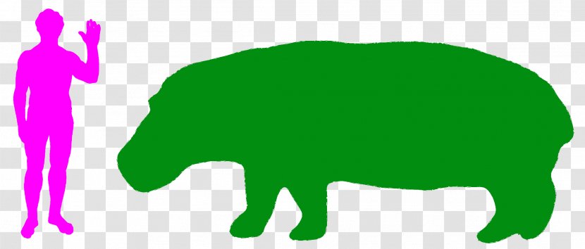 Hippopotamus Turtle Rhinoceros Animal Horse - Organism - Hippo Transparent PNG