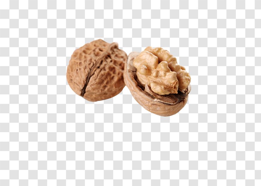 Walnut Bxe1nh Food Computer File - Nut Transparent PNG