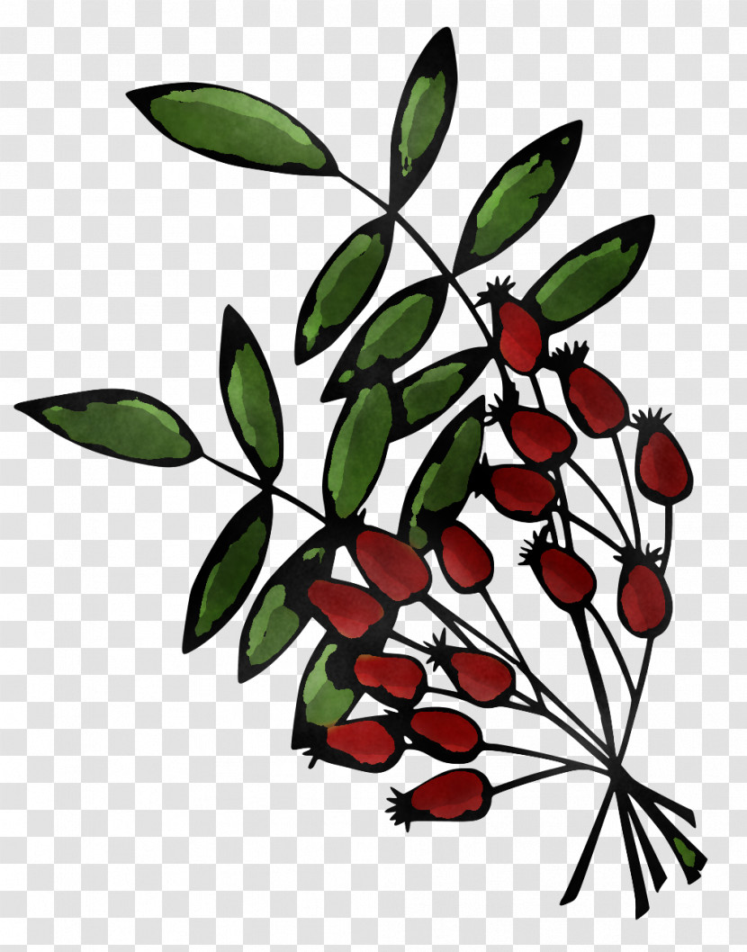 Flower Plant Stem Leaf Tree Flora Transparent PNG