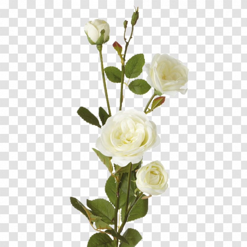 Garden Roses Flower Bouquet - Floristry - Rose Transparent PNG