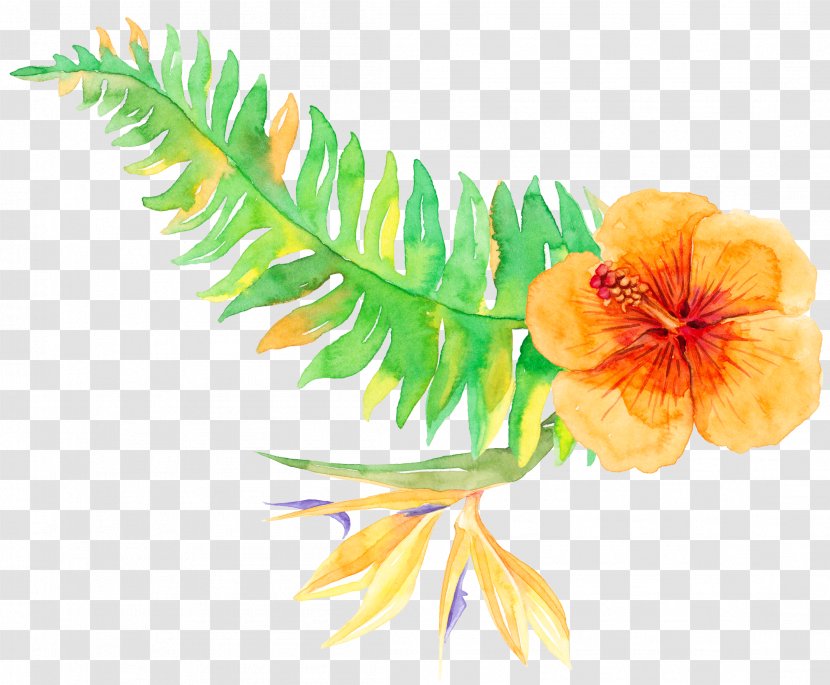 Tropics Tropical Vegetation - Plants Transparent PNG