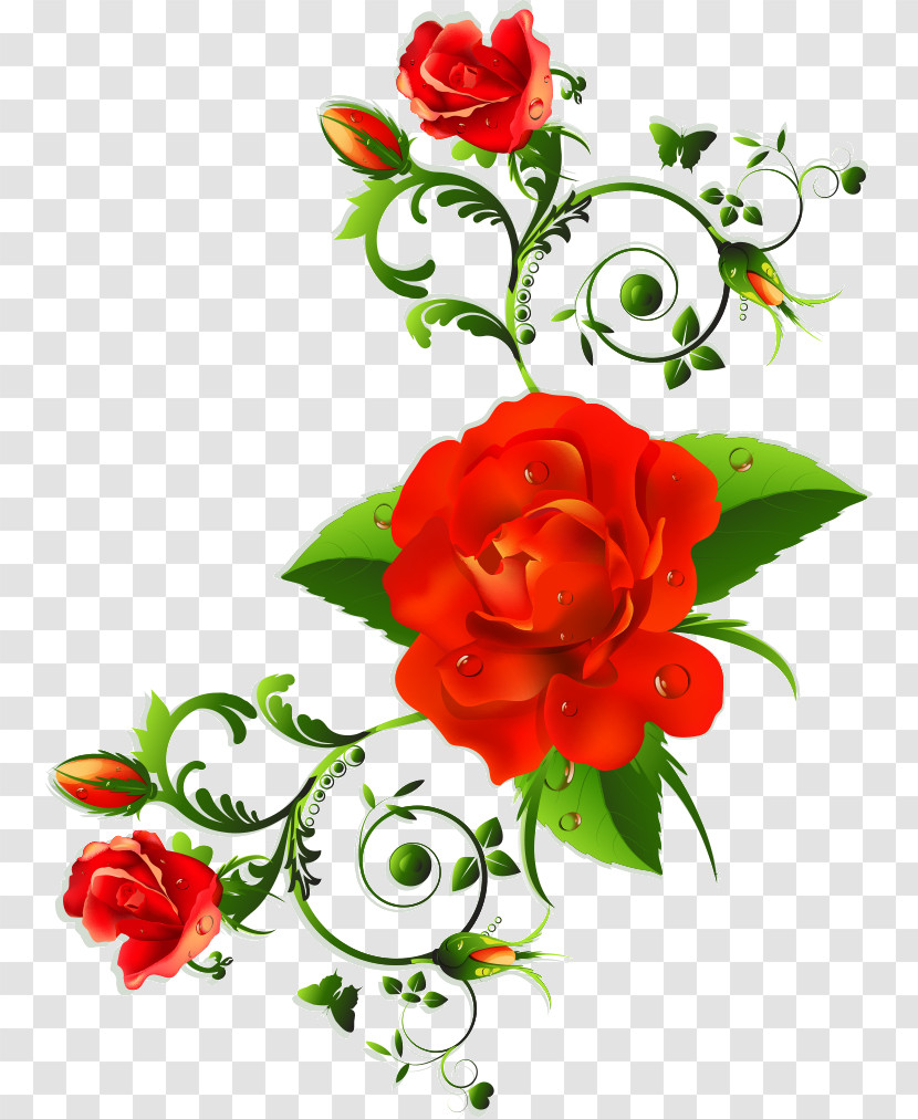 Floral Flowers Transparent PNG