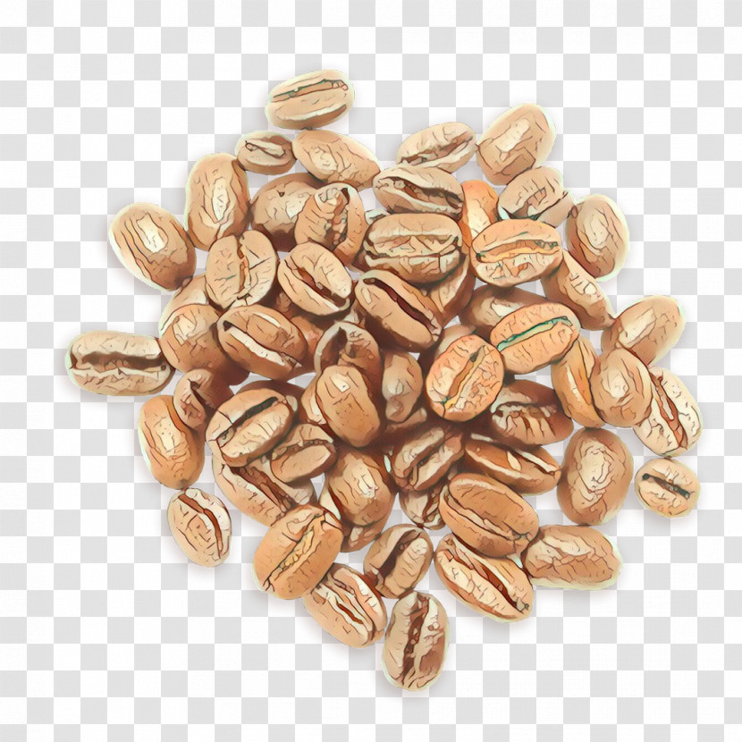 Food Seed Nuts & Seeds Plant Sunflower Seed Transparent PNG