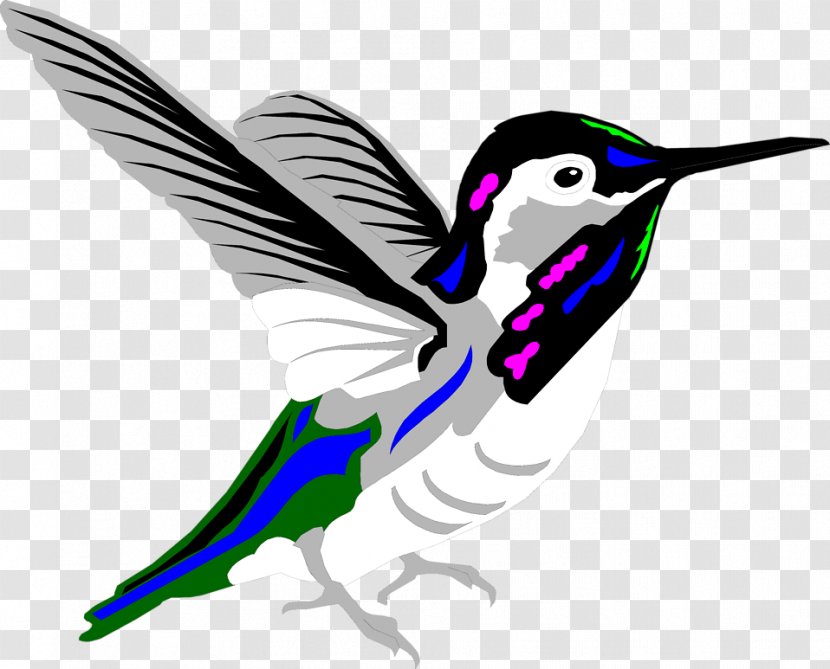 Hummingbird Animation Clip Art - Artwork - Free Clipart Transparent PNG