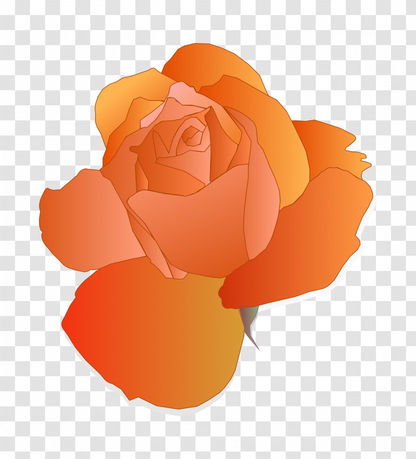 Blue Rose Clip Art - Garden Roses - Orange Flower Transparent PNG