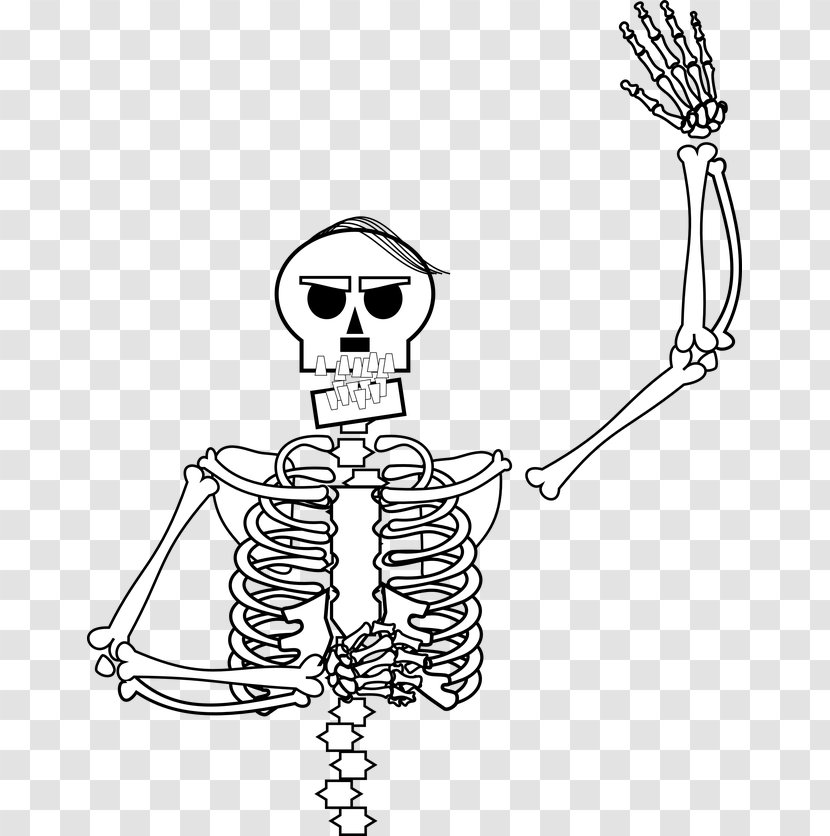 Homo Sapiens Human Skeleton Line Art Bone Clip - Watercolor - Skelleton Transparent PNG