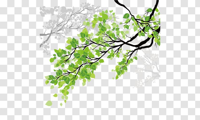 Window Sticker Wall Decal Branch - Textile - Leaves Transparent PNG