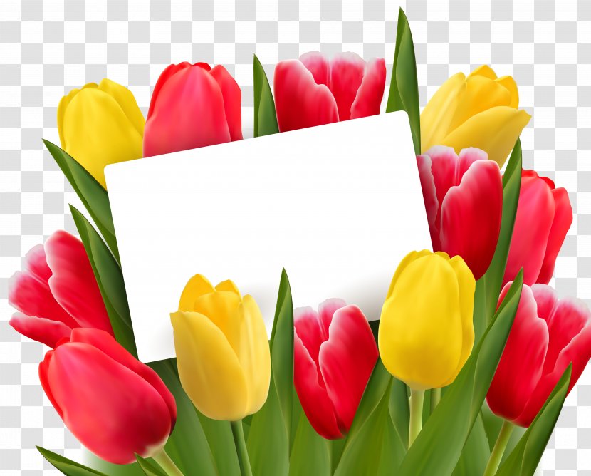 Tulip Cut Flowers Clip Art - Flower Bouquet Transparent PNG