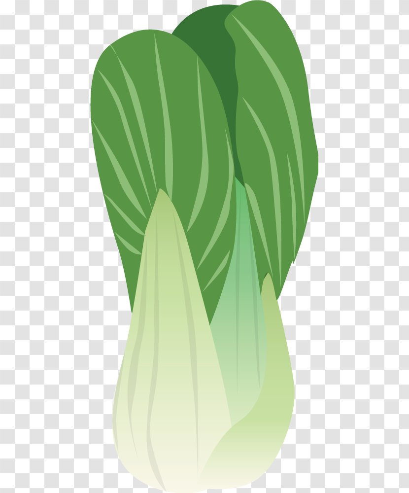 Napa Cabbage Brussels Sprout Vegetable - Cartoons Painted Green Transparent PNG