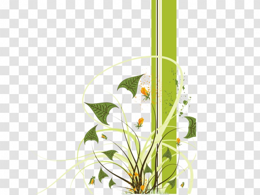 Flower Plant Stem Anthurium Wildflower - Arum Family Alismatales Transparent PNG