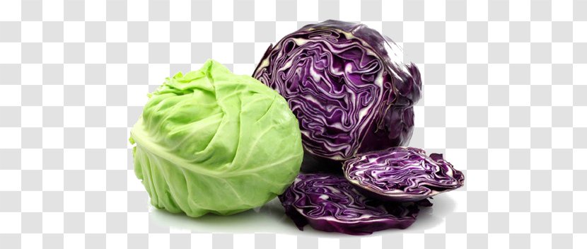 Capitata Group Savoy Cabbage Red Leaf Vegetable Food - Scallion Transparent PNG