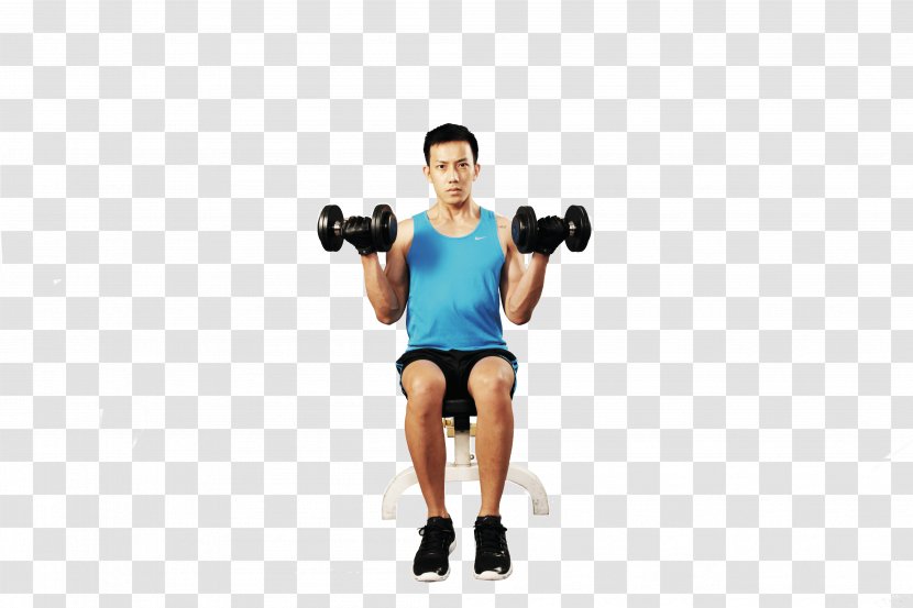 Weight Training Biceps Curl Dumbbell Barbell Wrist - Tree Transparent PNG