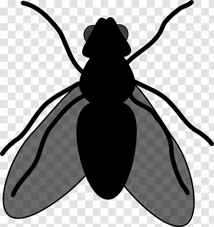 Beetle Clip Art Character Cartoon Silhouette - Membranewinged Insect Transparent PNG