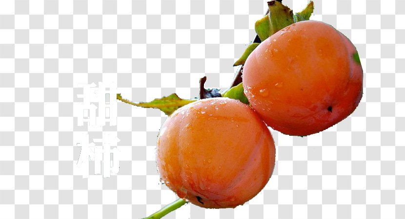 Persimmon Clementine Fruit - Image Transparent PNG