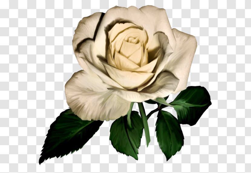 Flower Garden Roses Image Clip Art Transparent PNG