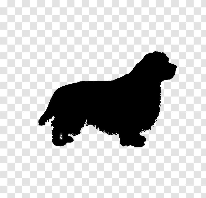 Dog Breed Kooikerhondje Puppy Wirehaired Pointing Griffon Companion - Terrier Transparent PNG
