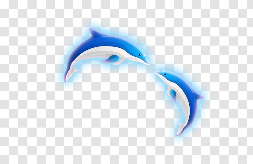 Dolphin Blue Clip Art - Fish Transparent PNG