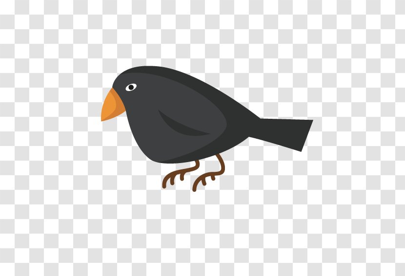 Crows Eating Crow - Google Images - Cartoon Bird Transparent PNG