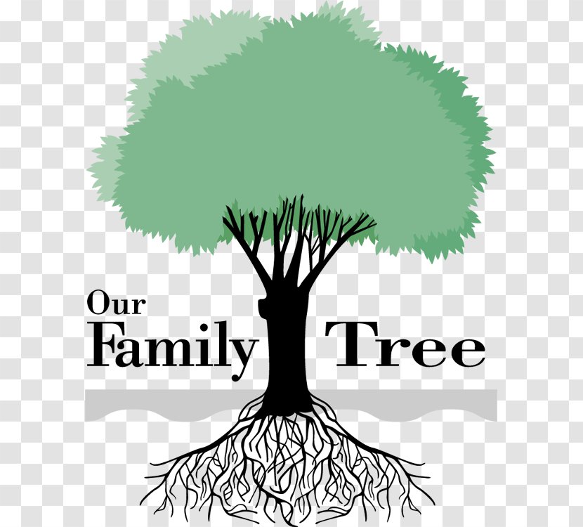 Your Family Tree Genealogy Clip Art - Logo - Cliparts Transparent PNG