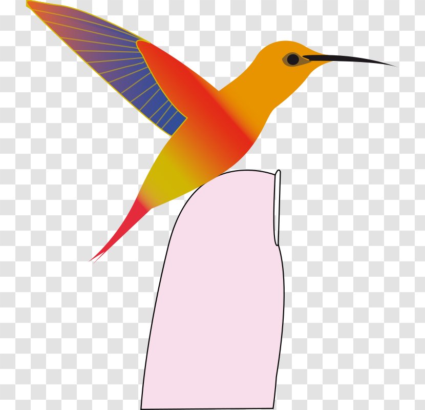Black-chinned Hummingbird Beak Clip Art - Blackchinned - Bird Transparent PNG