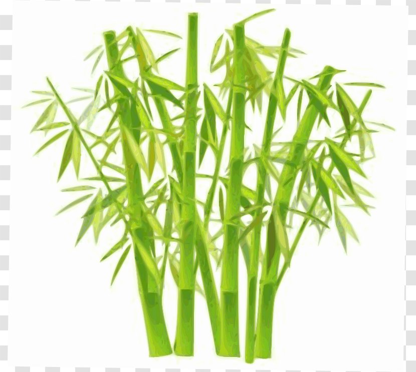 Bamboo Bamboe Clip Art - Cliparts Transparent PNG