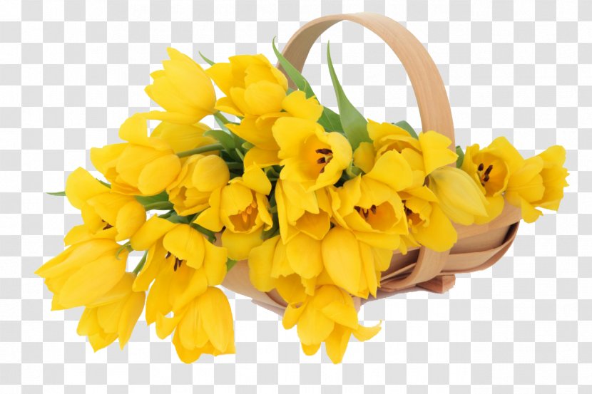 Flower Bouquet Tulip Yellow Stock Photography - Daffodil Transparent PNG