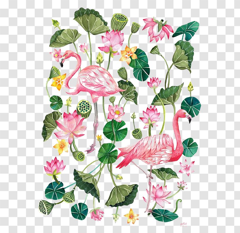 Flamingo Printing T-shirt Illustration - Annual Plant - Cartoon Transparent PNG