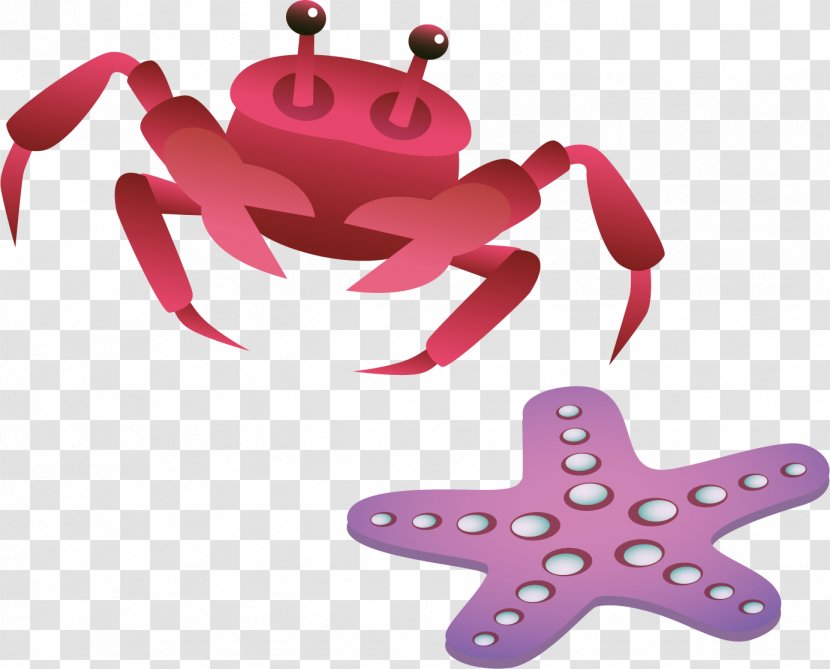 Starfish Illustration - Pink - Crab Vector Material Transparent PNG