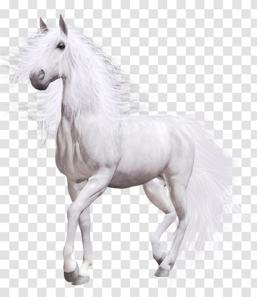 White Horse American Paint Clip Art Transparent PNG