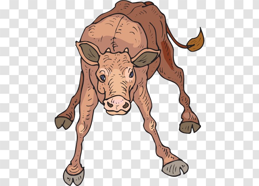 Beef Cattle Calf Bull Clip Art - Fauna - Cliparts Transparent PNG