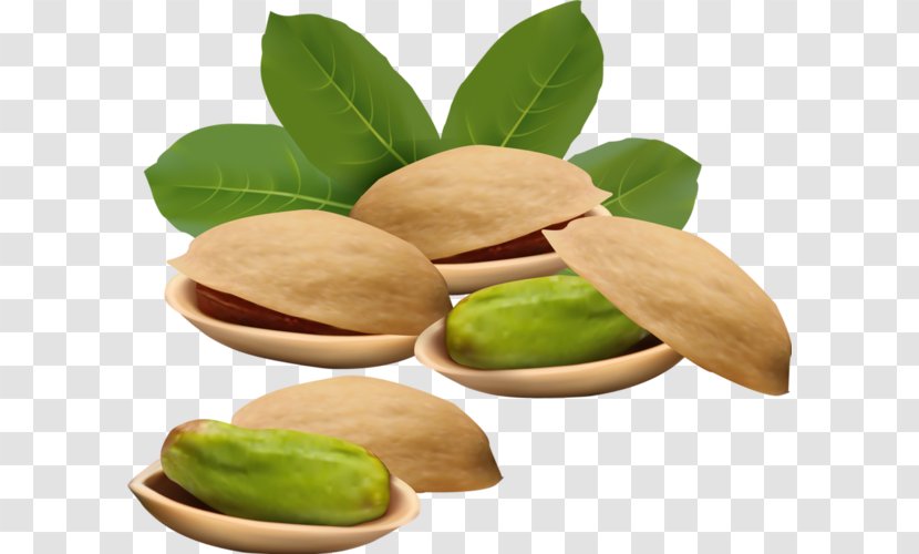 Vector Graphics Royalty-free Nut Pistachio Illustration - Tree Transparent PNG