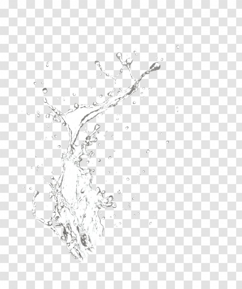 Splash Drop Water - Monochrome - Of Transparent PNG