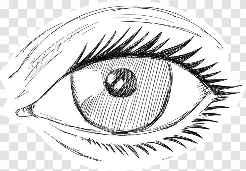 Iris Eyebrow - Heart - Sketch Eyes Transparent PNG