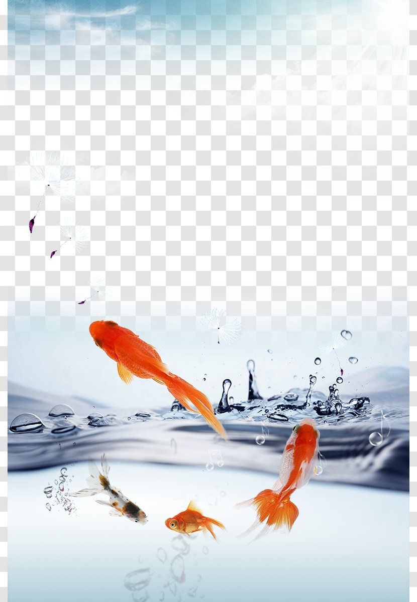 Water Ionizer Drinking - Liquid - Property Goldfish Lake Transparent PNG
