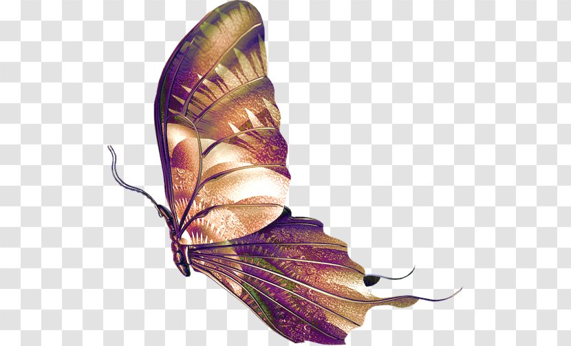 Butterfly - De - Blog Transparent PNG