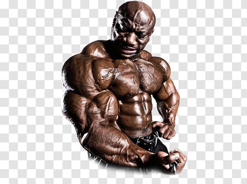 Mr. Olympia Bodybuilding Male Arnold Classic Dexter Jackson - Tree - Spray Tan Transparent PNG