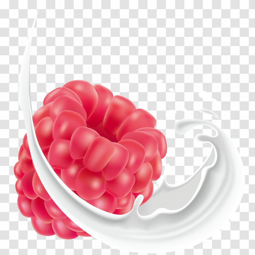 Red Raspberry Milk Fruit - Auglis - Vector Hand-painted Transparent PNG