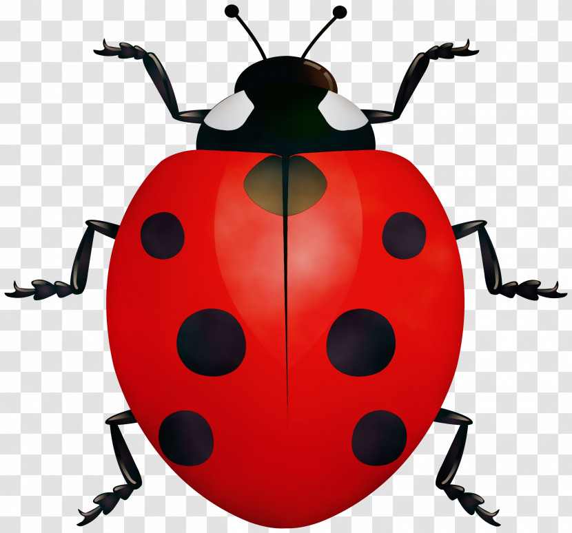 Ladybugs Beetles Vector Drawing Seven-spot Ladybird Transparent PNG