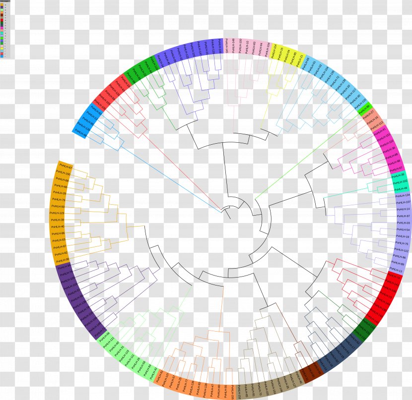 Diagram Circle - Area Transparent PNG