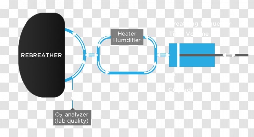 Carbon Dioxide Scrubber Wet Rebreather - Hyperbaric Chamber Mask Transparent PNG