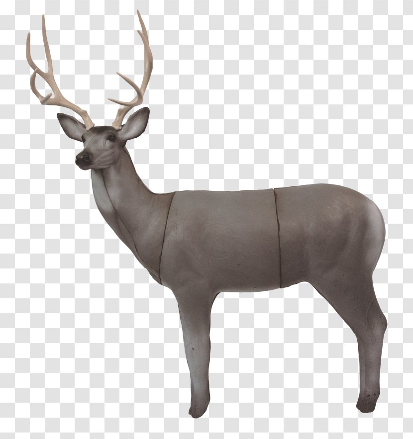 Reindeer Elk Archery White-tailed Deer R & W Targets - Terrestrial Animal Transparent PNG