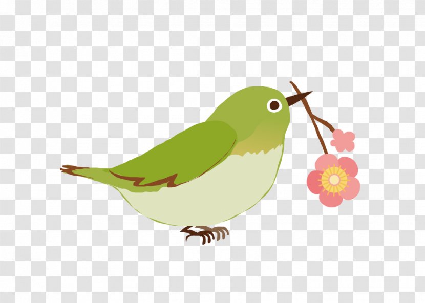 Japanese White-eye Mejiro Clip Art - Whiteeye - Bird Transparent PNG