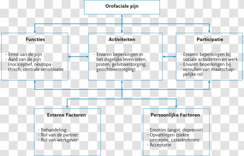 Orofacial Pain Document Behavior Angle Neurophysiology Transparent PNG